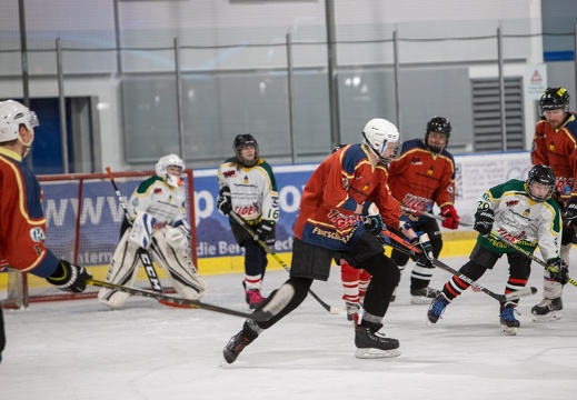 276092423 2579682868831298 4751523792324753867 n