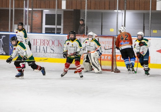 276110135 2579682138831371 3160411590638722693 n